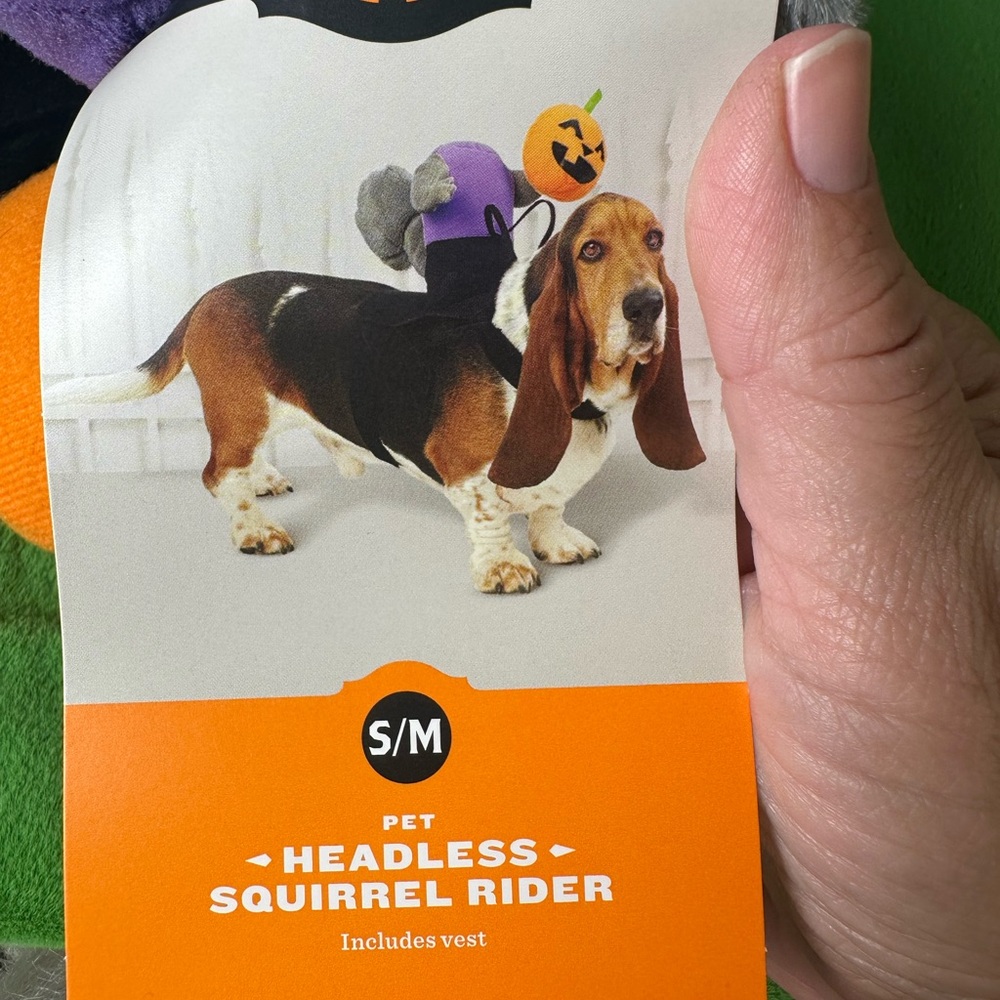 Pet Headless Squirrel Rider Costume